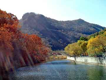 澳门二四六天天彩图库，深圳流水线